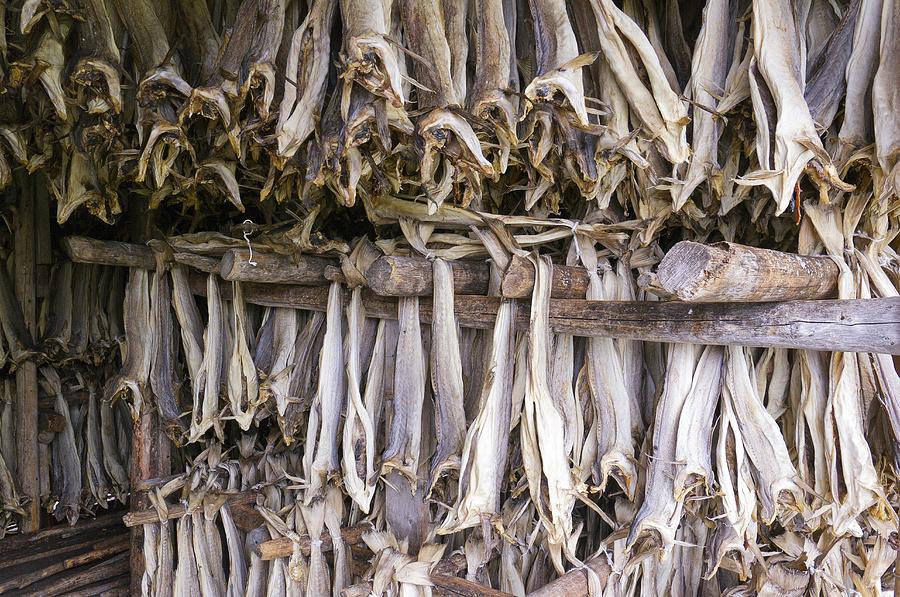Stockfish