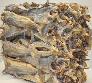 Stockfish